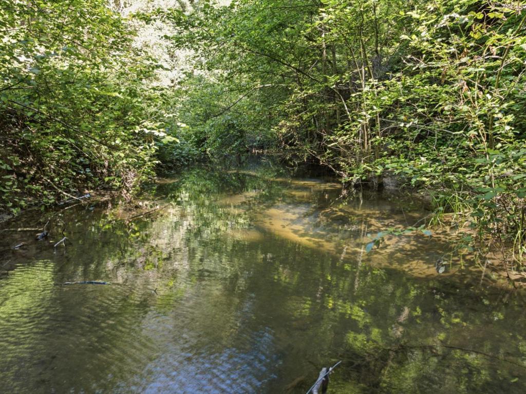 https://media.crmls.org/mediaz/c76f32a0-5247-4190-8702-d08fcbe72770.jpg?preset=X-Large