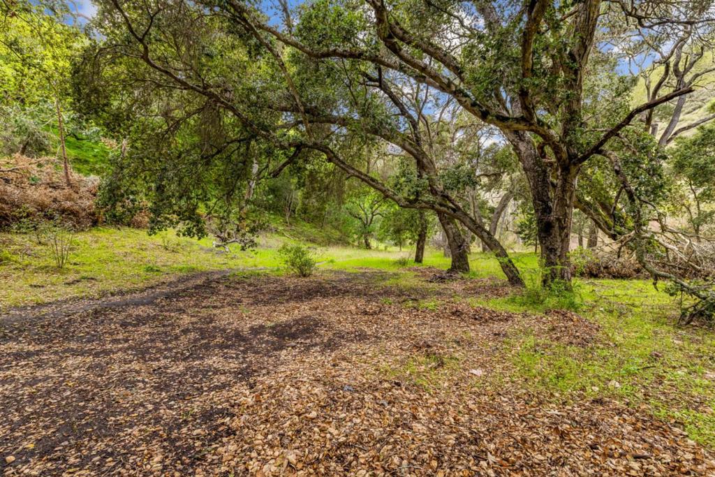 MLS #ML81999097 image #28