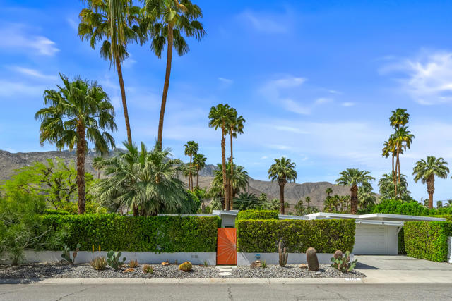 1115 Pasatiempo Road, Palm Springs CA: https://media.crmls.org/mediaz/c775cdbb-277d-48e1-941e-657551a30174.jpg