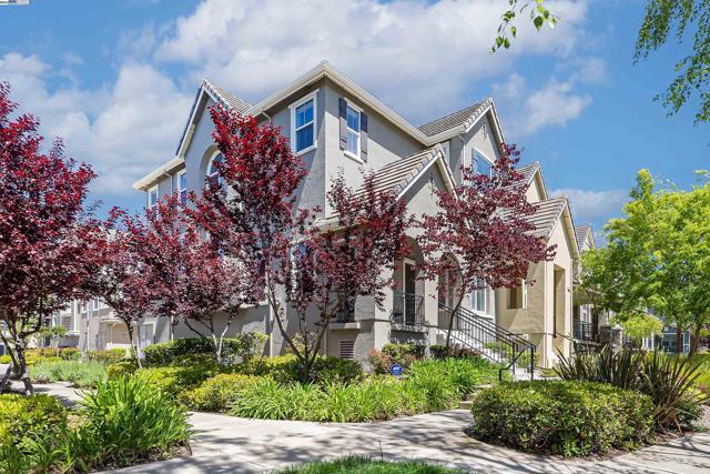 6268 Byron Ln, San Ramon CA: https://media.crmls.org/mediaz/c77860a4-4d35-4240-b2e4-ea97a80ee76b.jpg