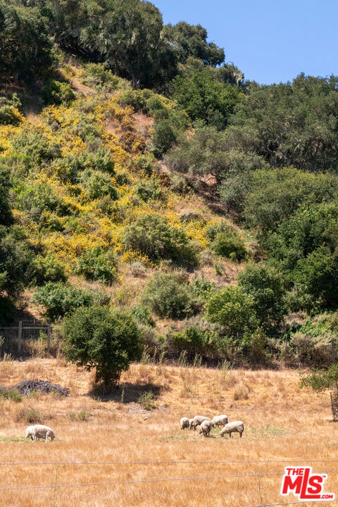 https://media.crmls.org/mediaz/c77a05eb-d0ec-433d-980c-acfec8be4c2d.jpg?preset=X-Large