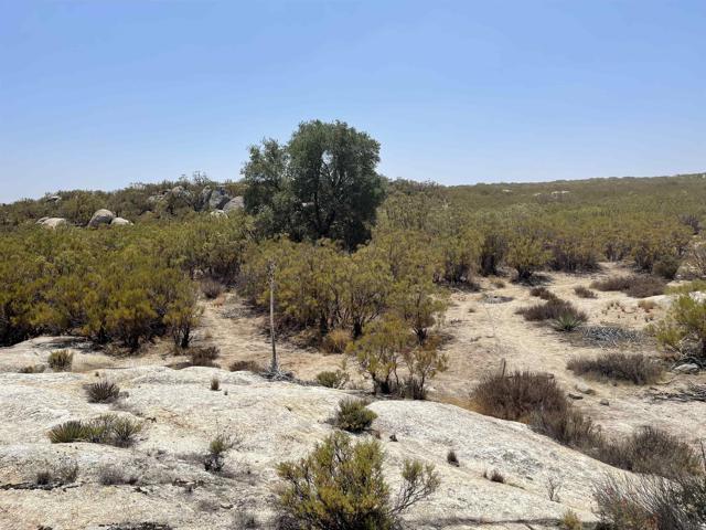 Detail Gallery Image 4 of 10 For 0 Camino Vecinal, –,  – 99999 - – Beds | – Baths