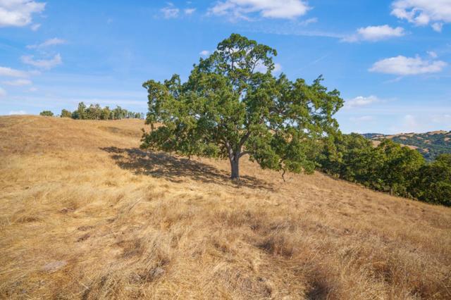 0 E Dunne Avenue, Morgan Hill CA: https://media.crmls.org/mediaz/c77e7b40-11cf-4cc3-a1c6-4eec5c792776.jpg