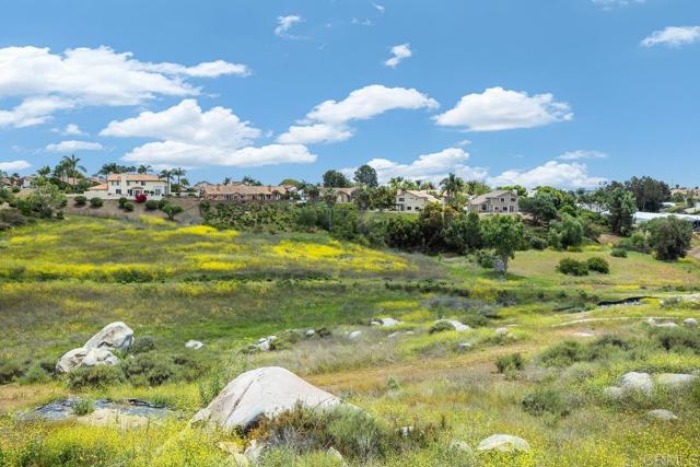 1216 Stonemark Place, Vista CA: https://media.crmls.org/mediaz/c780c1fb-f41e-465c-a2f0-452fb35b5ffa.jpg