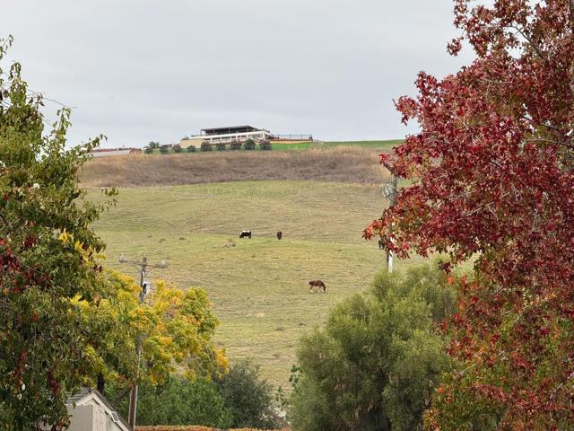 25 Terfidia Lane, Milpitas CA: https://media.crmls.org/mediaz/c7835379-5fb8-4dbb-a962-ff36d93a0cfc.jpg