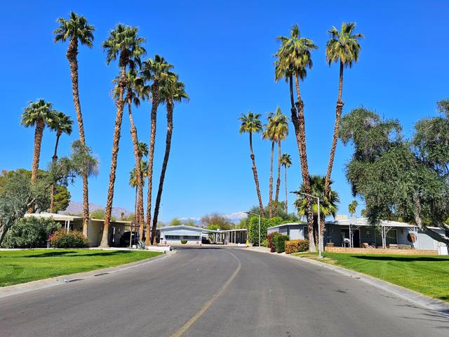 246 S Paseo Laredo, Cathedral City CA: https://media.crmls.org/mediaz/c783d9c9-928e-4bf4-8dc4-912f89bf45a4.jpg