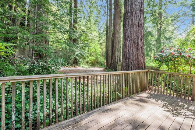 0 Big Tree Way, Woodside CA: https://media.crmls.org/mediaz/c7885fd4-fcac-4efa-b70b-471dccfbd88b.jpg