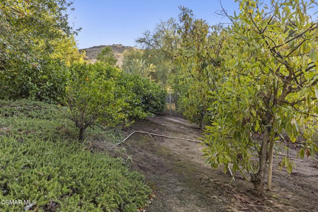 4988 Read Road, Moorpark CA: https://media.crmls.org/mediaz/c78de047-6b34-4d42-9aca-a406487abbb4.jpg