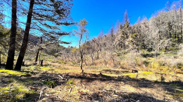 11035 Empire Grade, Santa Cruz CA: https://media.crmls.org/mediaz/c79eec87-c7c5-40e3-8378-71aba822f942.jpg