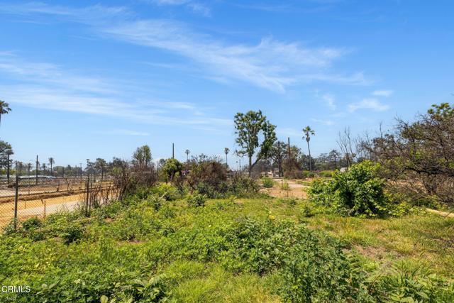 389 W Mendocino Street, Altadena CA: https://media.crmls.org/mediaz/c7a55419-fe96-4258-b00d-8eabdcd44059.jpg