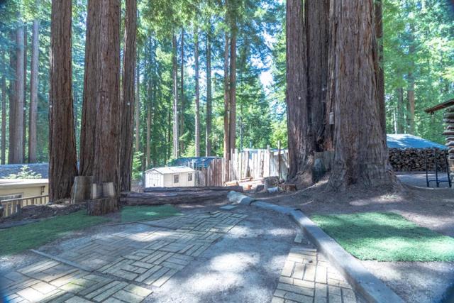 1785 Lakeside Drive, Felton CA: https://media.crmls.org/mediaz/c7a6c14c-e5ee-418b-a4a4-eae1b68bd538.jpg