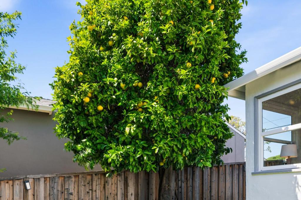 https://media.crmls.org/mediaz/c7b9fa81-be5b-4f12-8815-2929d8920bde.jpg?preset=X-Large