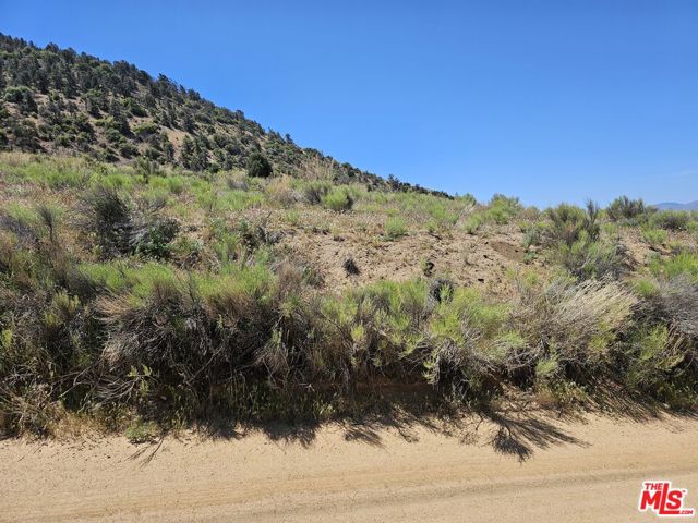 0 Pine Grove Dr, Tehachapi CA: https://media.crmls.org/mediaz/c7c4687b-16e9-42eb-9717-21a27417d8e6.jpg
