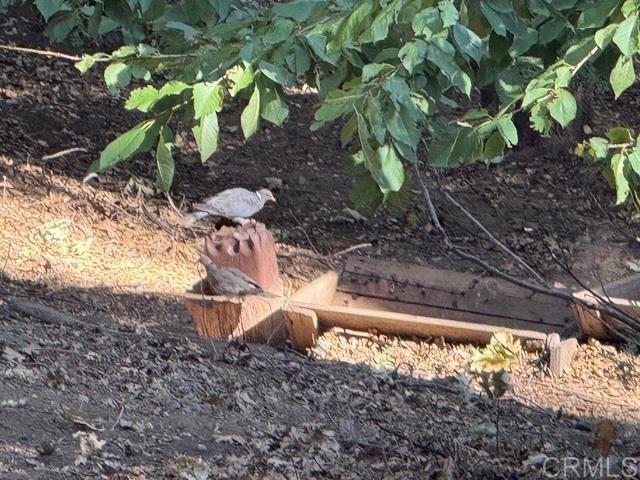 Detail Gallery Image 33 of 45 For 32811 Birch Hill Rd, Palomar Mountain,  CA 92060 - 2 Beds | 1 Baths