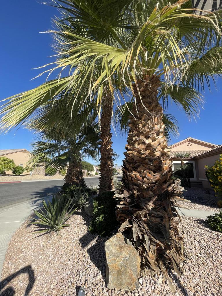 MLS #219137898DA image #41