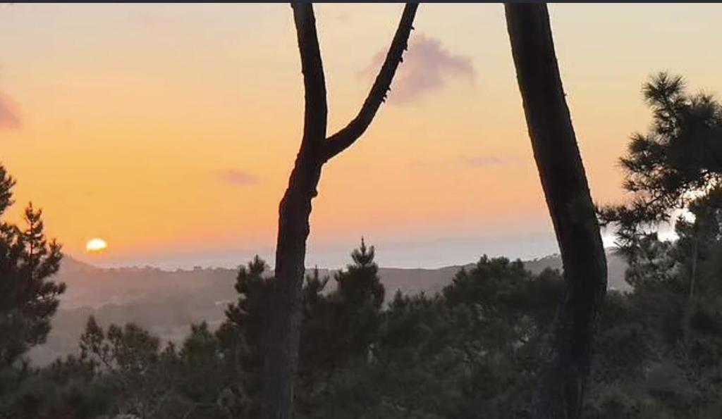 https://media.crmls.org/mediaz/c7d4907f-7f3f-4df4-97b1-611e4ab58e61.jpg?preset=X-Large