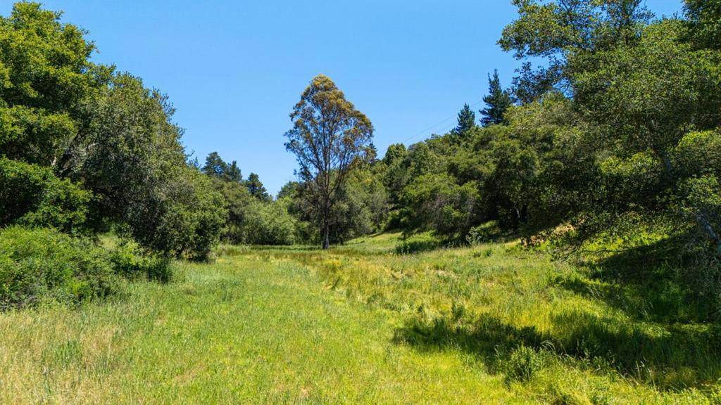 MLS #ML82007986 image #12