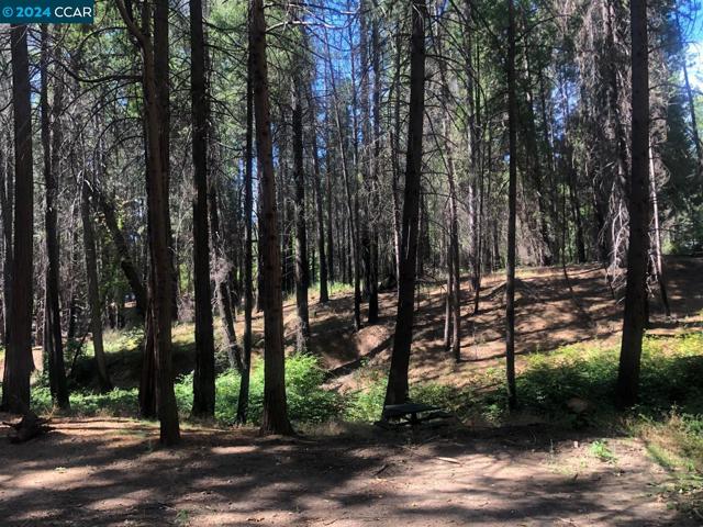 Details for 18236 Jesus Maria Rd, Mokelumne Hill, CA 95245
