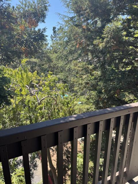 3322 Brittan Avenue, San Carlos CA: https://media.crmls.org/mediaz/c7f0203c-ce9d-441a-aa8f-ff15aff7ebc6.jpg