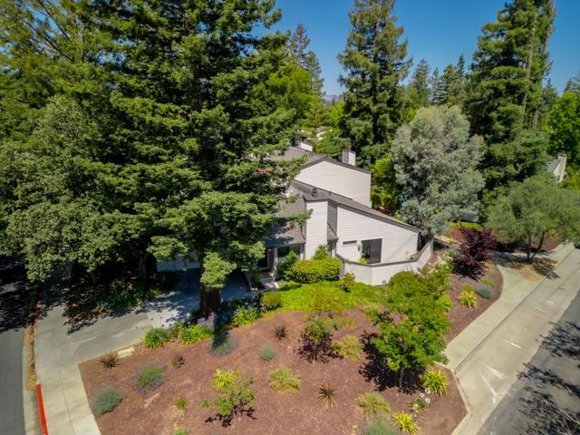 419 Clearview Drive, Los Gatos CA: https://media.crmls.org/mediaz/c7f1c891-2001-4571-a553-ba945b57996a.jpg