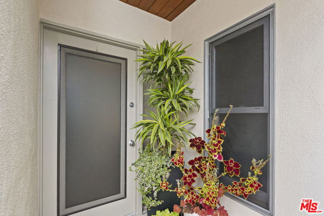 520 Strand Street, Santa Monica CA: https://media.crmls.org/mediaz/c7f270ff-2361-444e-afad-885f34c07cfb.jpg