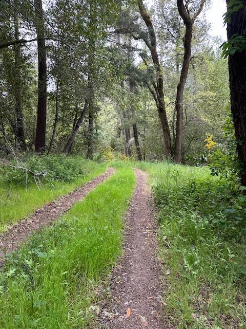Image 5 of 11 For 11930 Graton Road