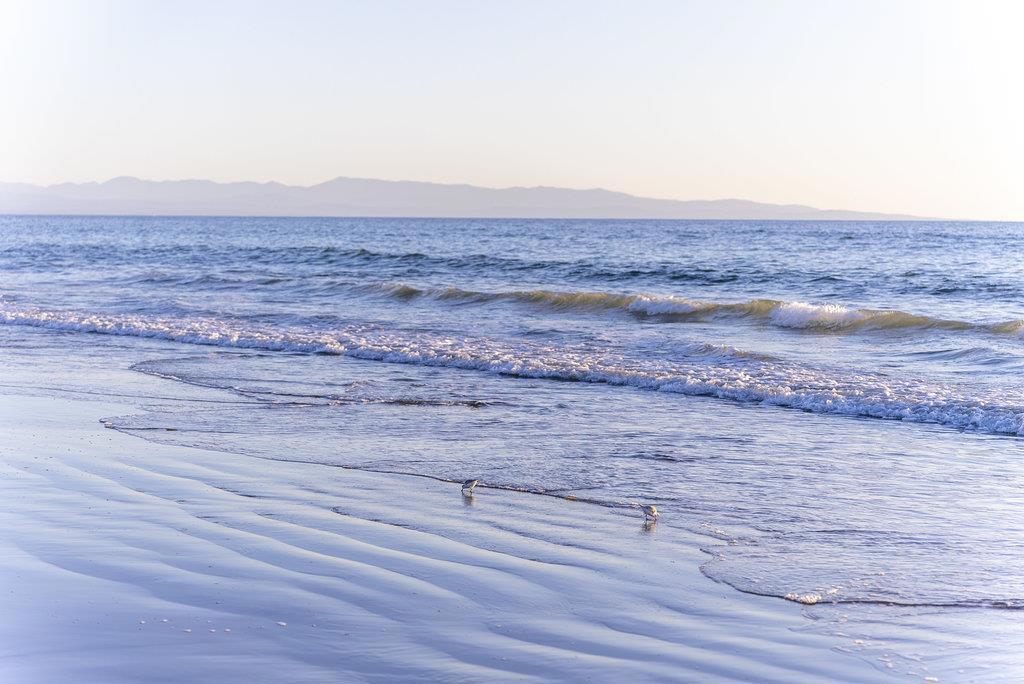 https://media.crmls.org/mediaz/c7f8d485-be33-44cc-bd3c-f5ce12d5210f.jpg?preset=X-Large