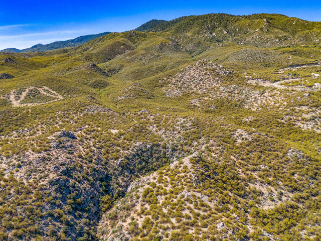 Image 10 of 22 For 1 Palm Canyon Drive
