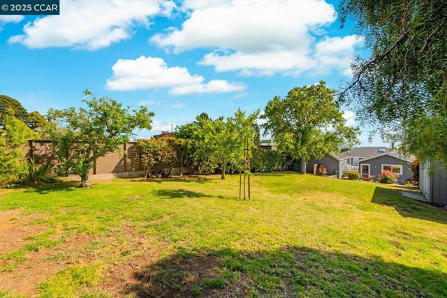 708 Pomona Ave, El Cerrito CA: https://media.crmls.org/mediaz/c805658e-e61b-4b71-9c59-e1a113f713e9.jpg