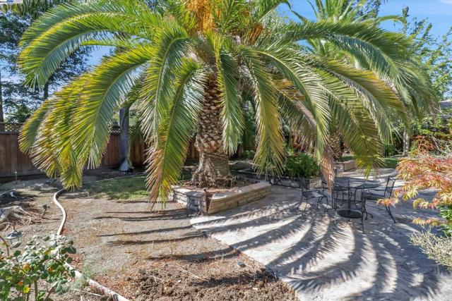 Image 46 of 58 For 2597 Ancona Cir