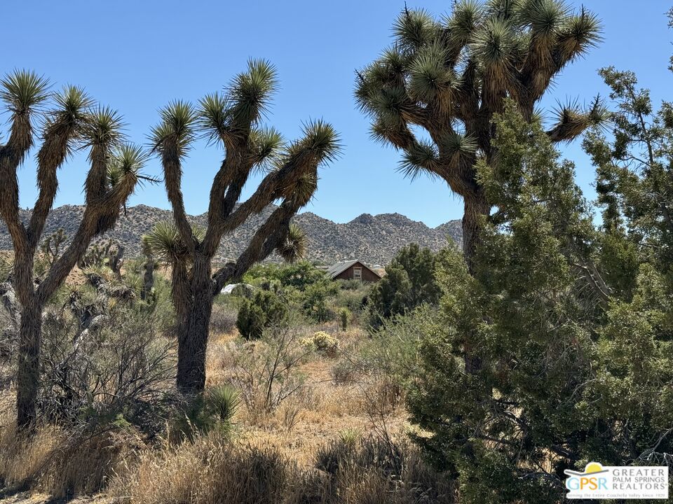 https://media.crmls.org/mediaz/c80f4025-d1da-4f21-83b7-52ecfbca28cc.jpg?preset=X-Large