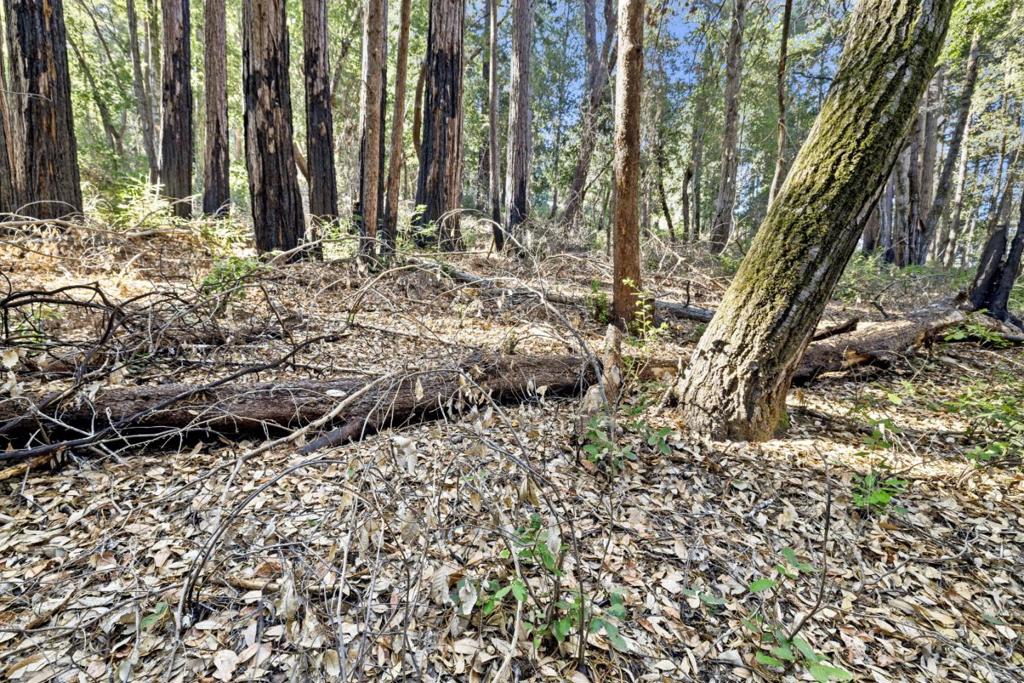 MLS #ML81986063 image #14