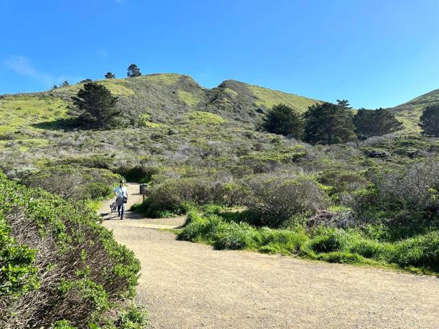 360 Fairway Drive, Pacifica CA: https://media.crmls.org/mediaz/c811cd13-6461-4b0a-a0e5-29f3dcf81704.jpg