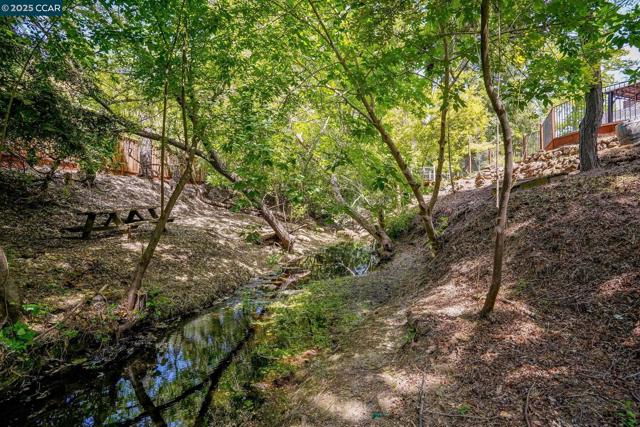 24 Ray Ct, Alamo CA: https://media.crmls.org/mediaz/c811dd2b-6f2d-4b80-bb95-4b7403bb22a7.jpg