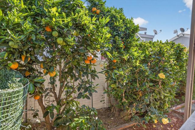 Detail Gallery Image 22 of 24 For 226 Youmans Dr #226,  Ventura,  CA 93003 - 3 Beds | 2 Baths