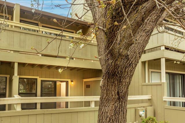 111 Bean Creek Road, Scotts Valley CA: https://media.crmls.org/mediaz/c8217da0-5e95-4932-8e59-9dbcea542f2b.jpg