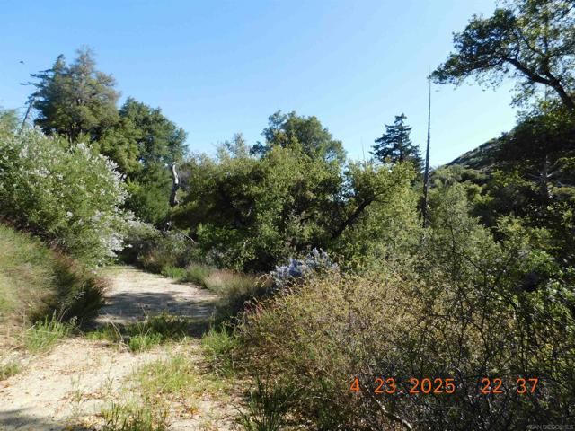 0 San Felipe Rd,  CA: https://media.crmls.org/mediaz/c82237aa-4aef-401c-b075-94ba61a4a4dd.jpg