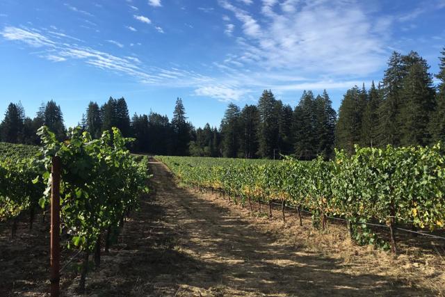 420 Bonnie Brae Road & 3980 Bonny Doon Road, Santa Cruz CA: https://media.crmls.org/mediaz/c8293285-eae6-4fca-8df5-701893f20155.jpg