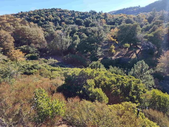 Chateau Drive, Julian, California 92036, ,Land,For Sale,Chateau Drive,CRNDP2308596