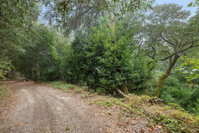 19089 Skyline Boulevard, Los Gatos CA: https://media.crmls.org/mediaz/c836bc85-03b3-4d54-a4cd-07652246e428.jpg