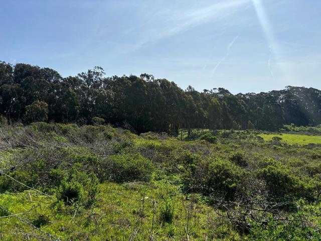 0 Portola Avenue, Half Moon Bay CA: https://media.crmls.org/mediaz/c83c975b-2685-41c8-8939-21ff625470e9.jpg