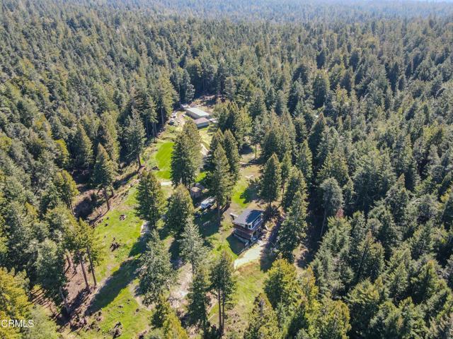 15137 Mitchell Creek Drive, Fort Bragg CA: https://media.crmls.org/mediaz/c83e5393-ebc7-4788-9994-423a382c90df.jpg