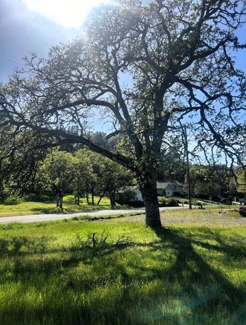 19630 Donkey Hill Road, Hidden Valley Lake CA: https://media.crmls.org/mediaz/c83e9c72-b2f8-464c-938c-0483d1c90cef.jpg
