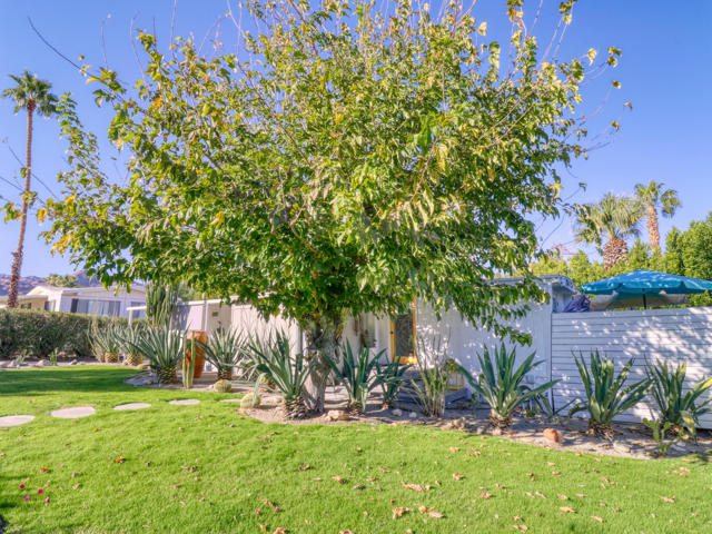 7 Ocotillo Lane, Palm Desert CA: https://media.crmls.org/mediaz/c842bce7-2e63-4f1d-ae76-2a73af5a4fdf.jpg