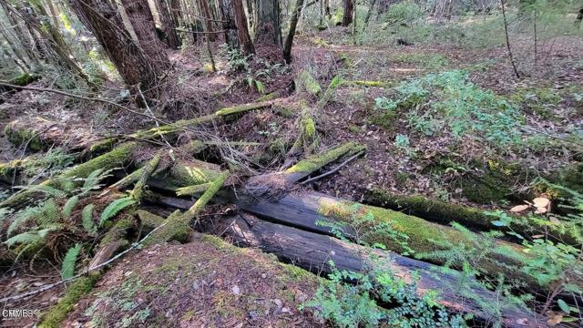 Detail Gallery Image 15 of 25 For 26030 Comptche Ukiah Rd, Comptche,  CA 95427 - – Beds | – Baths