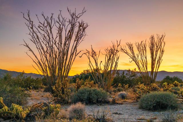 Detail Gallery Image 35 of 38 For 3568 Borrego Springs Rd, Borrego Springs,  CA 92004 - 3 Beds | 2 Baths