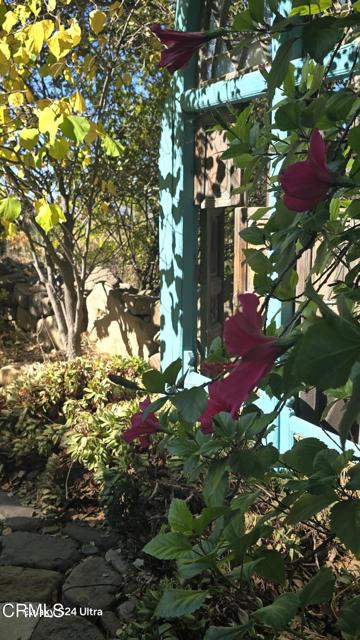 Detail Gallery Image 26 of 58 For 1450 Mcandrew Rd, Ojai,  CA 93023 - 4 Beds | 2 Baths