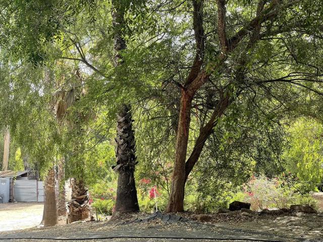 Detail Gallery Image 43 of 60 For 14082 Los Cielos, Escondido,  CA 92025 - 4 Beds | 2 Baths