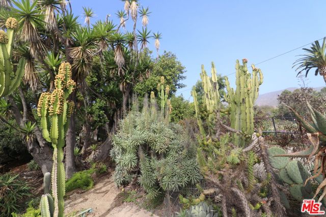 20776 Big Rock Drive, Malibu CA: https://media.crmls.org/mediaz/c865bdb3-3b0b-4753-a8e3-66297099d7ce.jpg