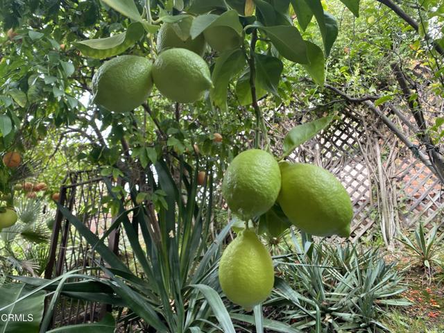 Detail Gallery Image 29 of 34 For 9212 Creemore Dr, La Crescenta,  CA 91214 - 3 Beds | 3 Baths